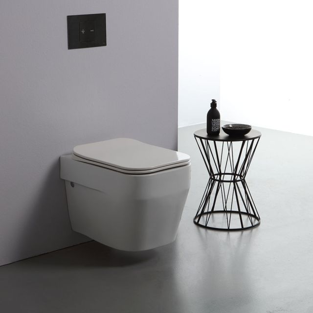 Inodoro cerámico de primera calidad, modelo suspendido Alimonta Inodoro cerámico de primera calidad, modelo suspendido Alimonta