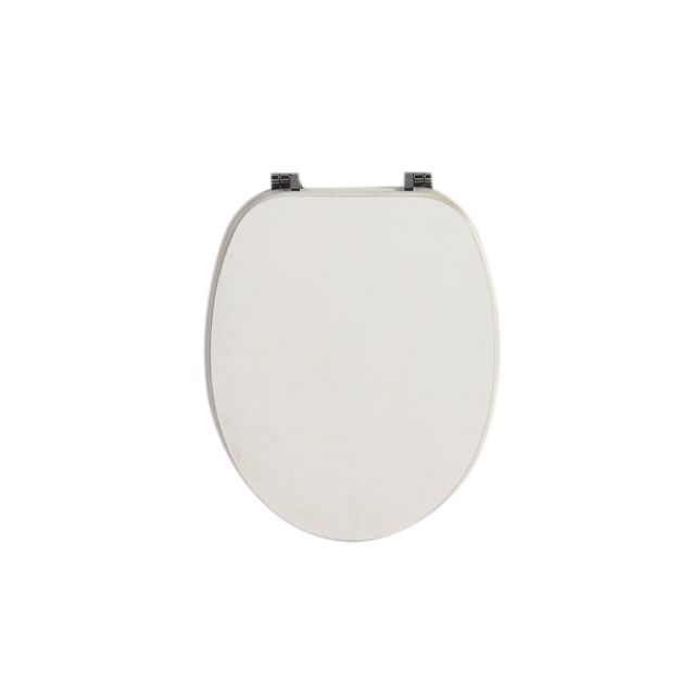 Asiento de inodoro universal envejecido